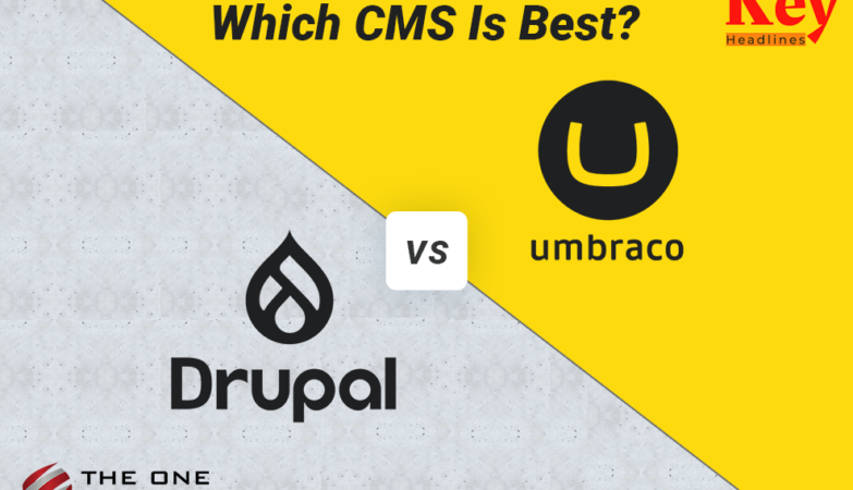 Umbraco Vs. Drupal: Which CMS Is Best?